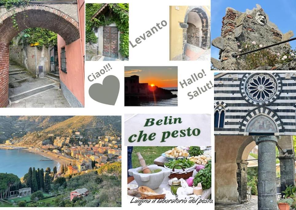 Beatrice Nel Centro Di Levanto Dış mekan fotoğraf